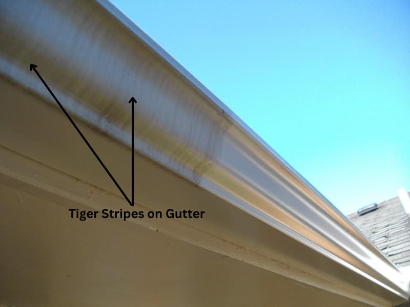 Tiger Stripes on Gutter